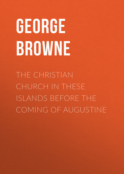 Скачать книгу The Christian Church in These Islands before the Coming of Augustine