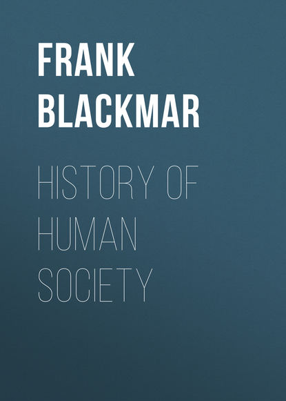 Скачать книгу History of Human Society