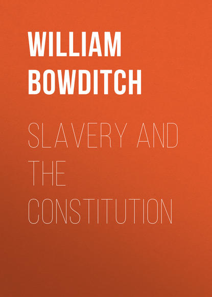 Скачать книгу Slavery and the Constitution