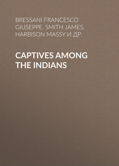 Скачать книгу Captives Among the Indians