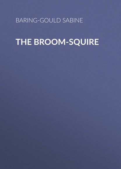 Скачать книгу The Broom-Squire