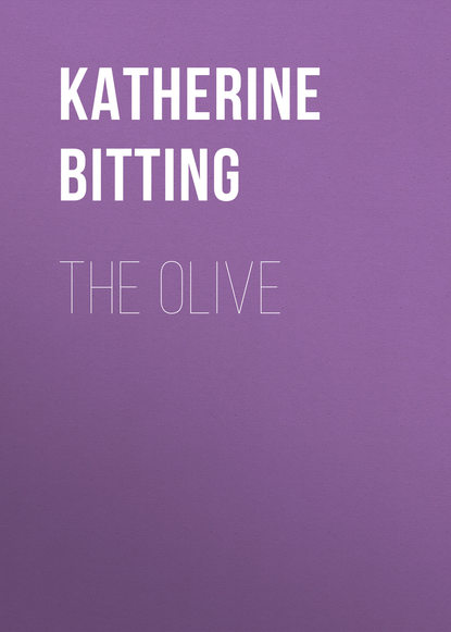 Скачать книгу The Olive