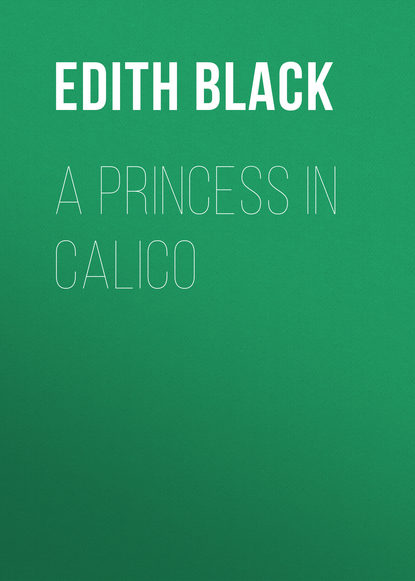 Скачать книгу A Princess in Calico