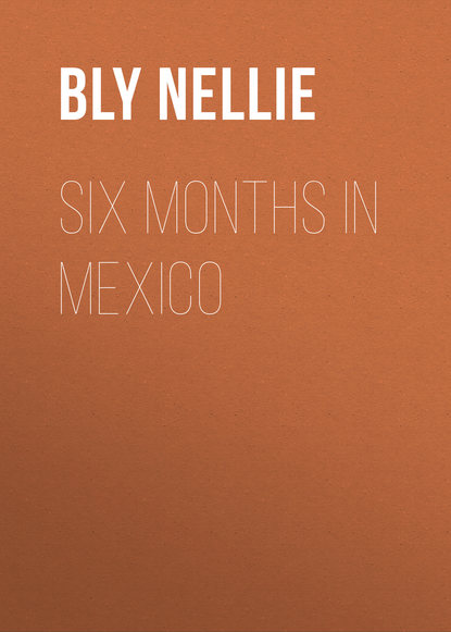 Скачать книгу Six Months in Mexico