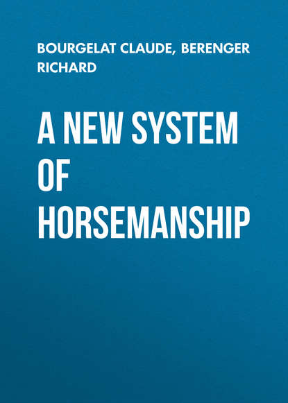 Скачать книгу A New System of Horsemanship