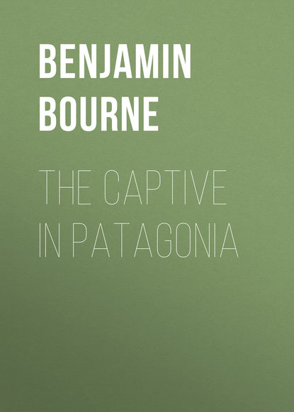 Скачать книгу The Captive in Patagonia