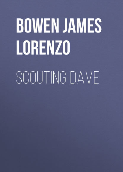 Скачать книгу Scouting Dave