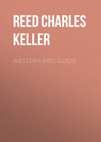 Скачать книгу Western Bird Guide