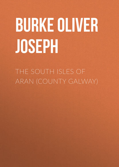 Скачать книгу The South Isles of Aran (County Galway)
