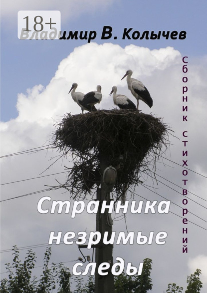 Скачать книгу Странника незримые следы