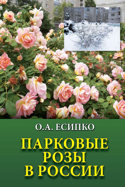 Скачать книгу Парковые розы в России