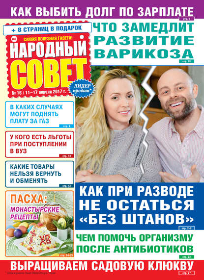 Скачать книгу Народный совет №16/2017
