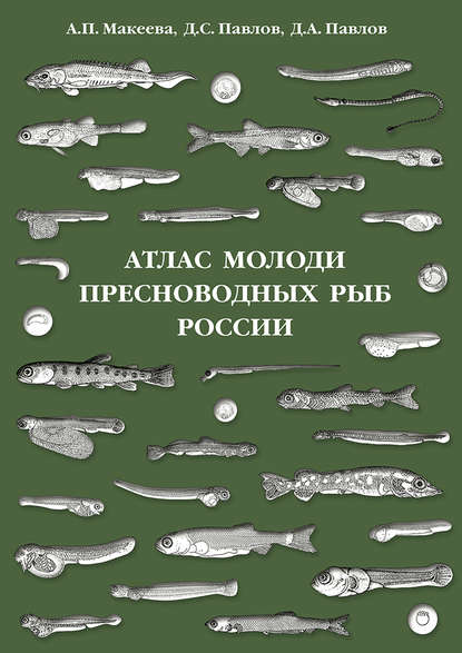 Скачать книгу Атлас молоди пресноводных рыб России