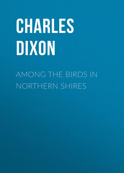 Скачать книгу Among the Birds in Northern Shires