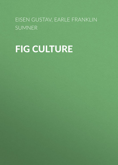 Скачать книгу Fig Culture