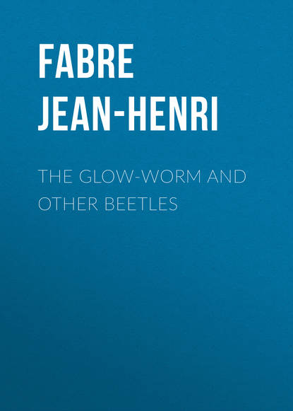 Скачать книгу The Glow-Worm and Other Beetles