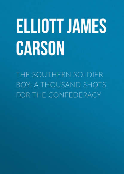 Скачать книгу The Southern Soldier Boy: A Thousand Shots for the Confederacy