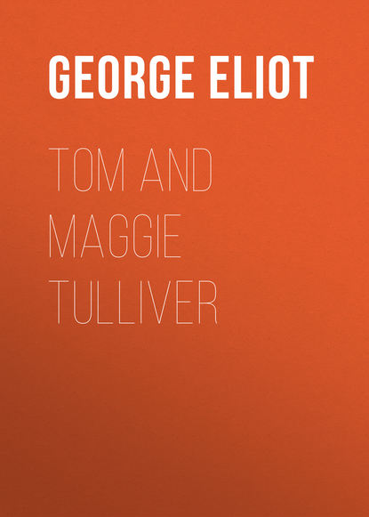 Скачать книгу Tom and Maggie Tulliver