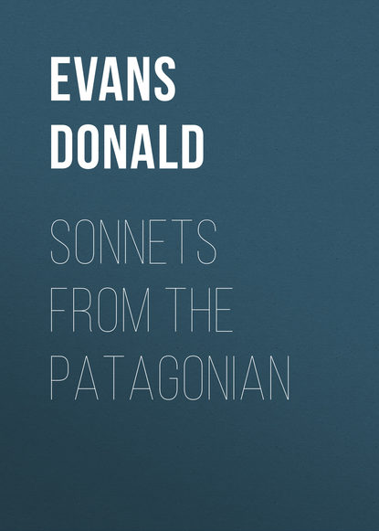 Скачать книгу Sonnets from the Patagonian