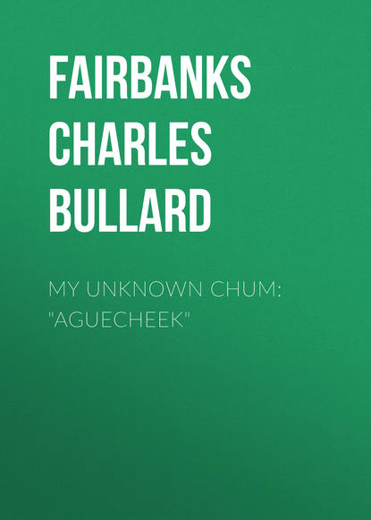 Скачать книгу My Unknown Chum: &quot;Aguecheek&quot;