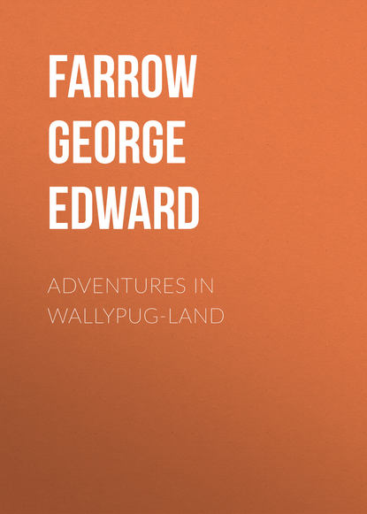 Скачать книгу Adventures in Wallypug-Land