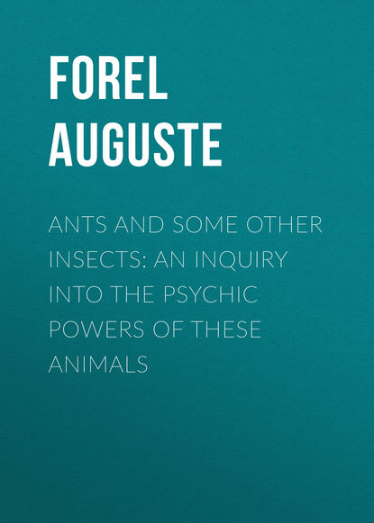 Скачать книгу Ants and Some Other Insects: An Inquiry Into the Psychic Powers of These Animals