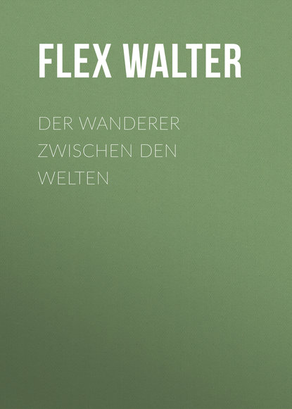 Скачать книгу Der Wanderer zwischen den Welten
