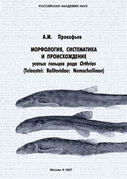Скачать книгу Морфология, систематика и происхождение усатых гольцов рода Orthrias (Teleostei: Balitoridae: Nemacheilinae)