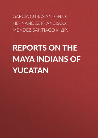 Скачать книгу Reports on the Maya Indians of Yucatan