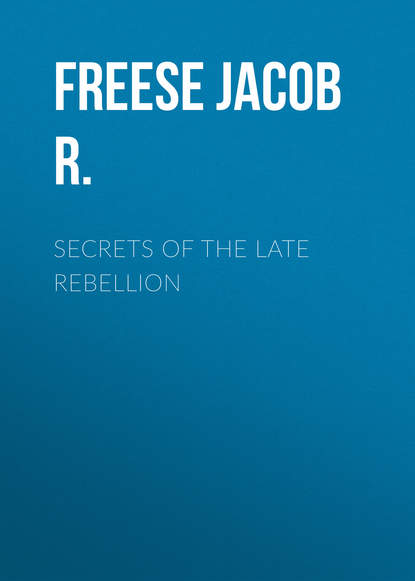Скачать книгу Secrets of the Late Rebellion