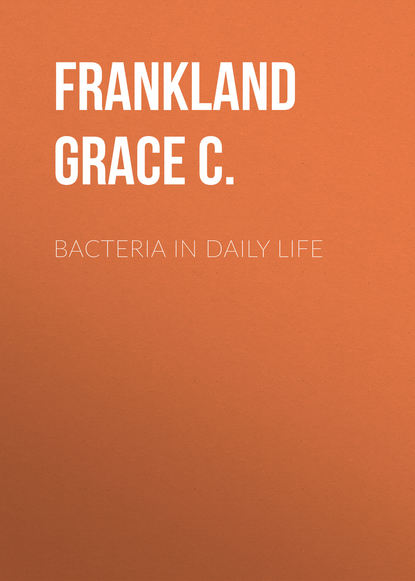 Скачать книгу Bacteria in Daily Life