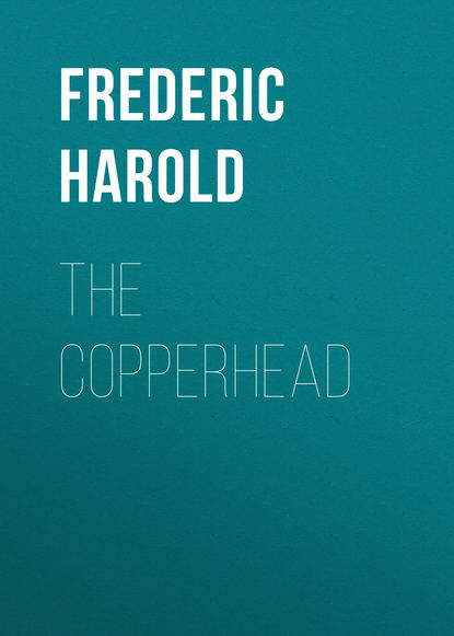 Скачать книгу The Copperhead
