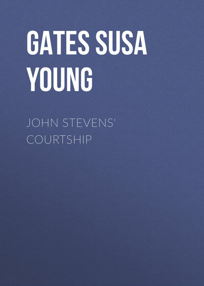 Скачать книгу John Stevens' Courtship