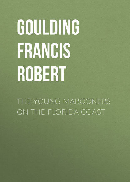 Скачать книгу The Young Marooners on the Florida Coast