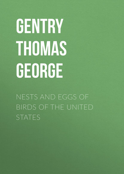 Скачать книгу Nests and Eggs of Birds of The United States