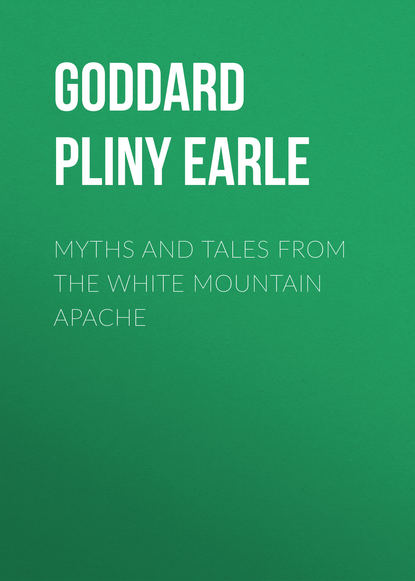 Скачать книгу Myths and Tales from the White Mountain Apache