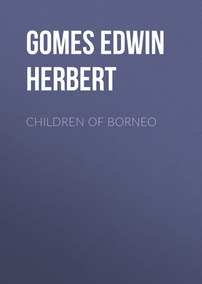 Скачать книгу Children of Borneo