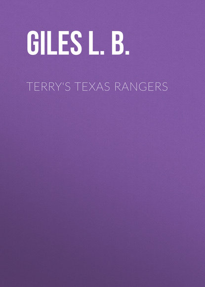 Скачать книгу Terry's Texas Rangers