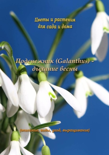 Скачать книгу Подснежник (Galanthus) – дыхание весны