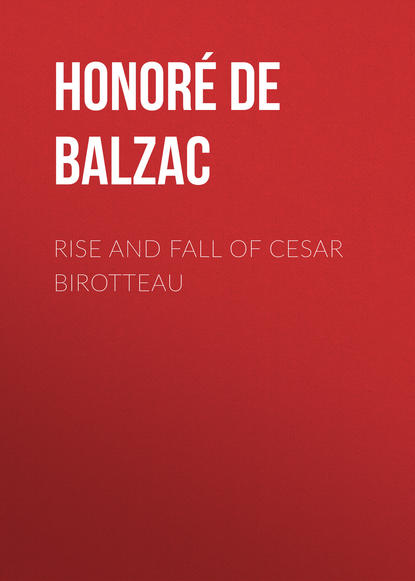 Скачать книгу Rise and Fall of Cesar Birotteau