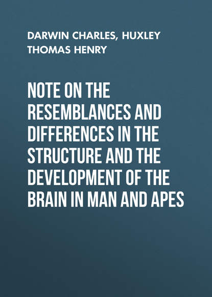 Скачать книгу Note on the Resemblances and Differences in the Structure and the Development of the Brain in Man and Apes