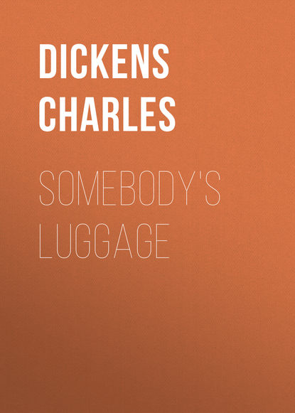 Скачать книгу Somebody&apos;s Luggage