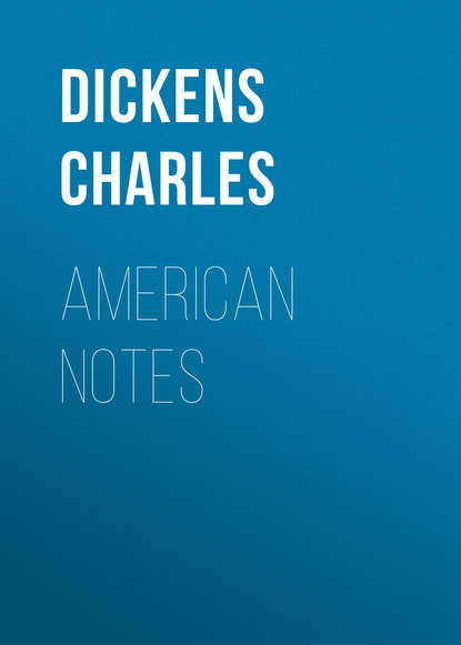 Скачать книгу American Notes