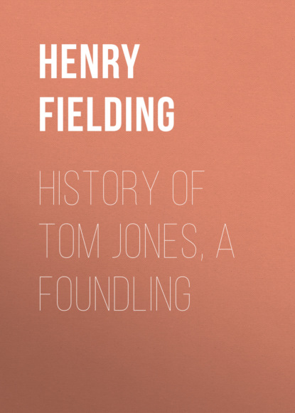 Скачать книгу History of Tom Jones, a Foundling
