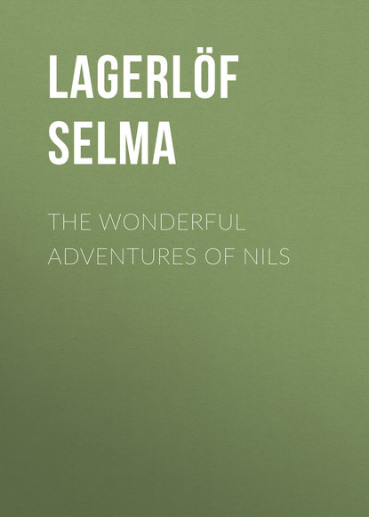 Скачать книгу The Wonderful Adventures of Nils