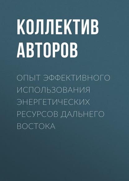 Скачать книгу Опыт эффективного использования энергетических ресурсов Дальнего Востока