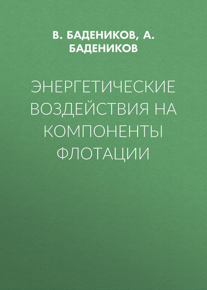 Скачать книгу Энергетические воздействия на компоненты флотации