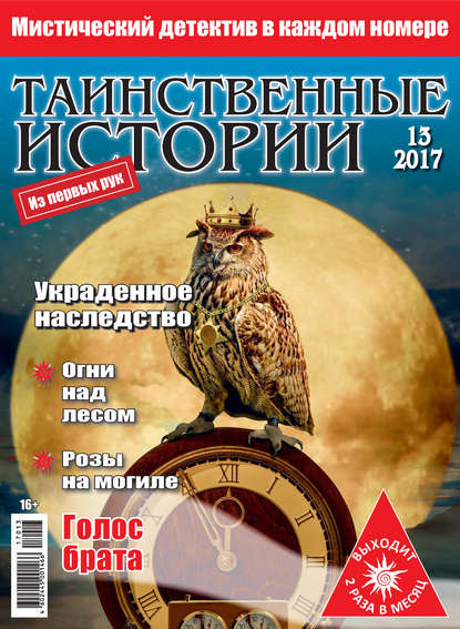 Скачать книгу Таинственные истории №13/2017