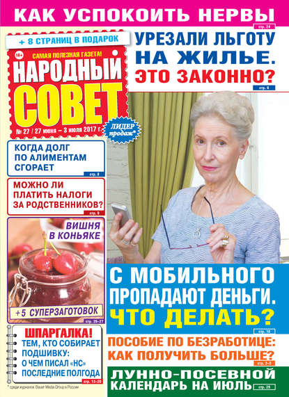 Скачать книгу Народный совет №27/2017