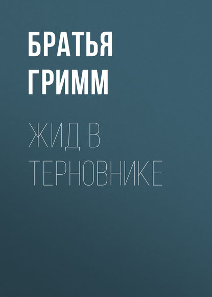 Скачать книгу Жид в терновнике